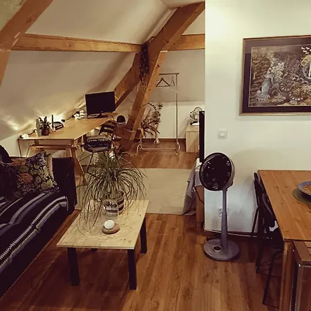 Charming Studio Near City Center Annecy Exterior foto